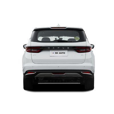 Affare comodo della lunga autonomia di Seat della porta sei della foglia di acero 80V MPV EV cinque di Lifan