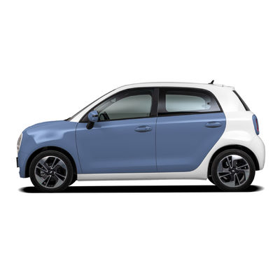 Alta velocità di Cat Electric Car 102km/H del nero della grande muraglia ORA R1