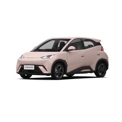 Trasmissione automatica 3-4 ore tempo di ricarica Gabbiano BYD EV Batteria auto alimentata