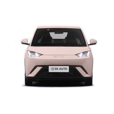 Trasmissione automatica 3-4 ore tempo di ricarica Gabbiano BYD EV Batteria auto alimentata