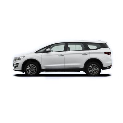 Ricezione di affari dell'automobile elettrica di Seat Mpv della porta sei dell'automobile EV cinque della foglia di acero 80V di Lifan