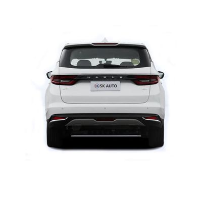 Ricezione di affari dell'automobile elettrica di Seat Mpv della porta sei dell'automobile EV cinque della foglia di acero 80V di Lifan