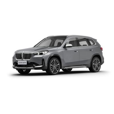 BMW X1 2.0T 204 CV L4 SUV a 5 porte per gli appassionati di automobili a benzina