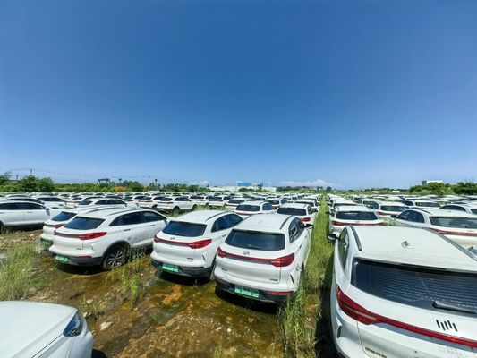Usato Weltmeister SUV elettrico EX5 EV 2020 400 km