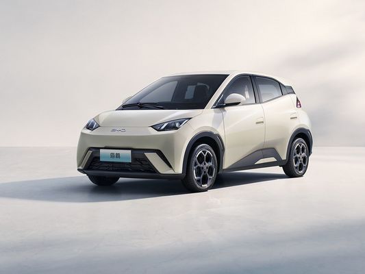 2025 Nuovo modello BYD Seagull Veicolo elettrico a ricarica rapida Mini EV a lunga autonomia e batteria grande 405KM